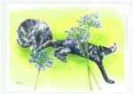 Alsion Barter painting cats and agapanthus